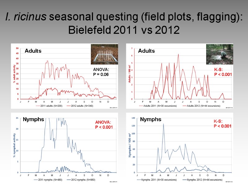 I. ricinus seasonal questing (field plots, flagging): Bielefeld 2011 vs 2012 Adults Adults Nymphs